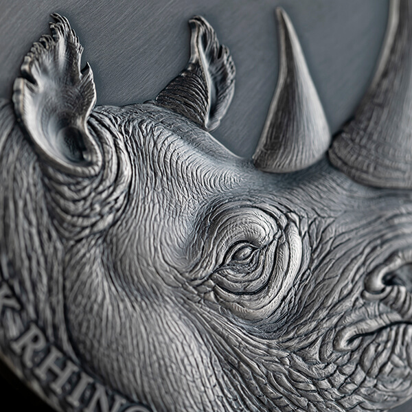 Black Rhino_fragm1_600x600 Black Rhino_fragm1_600x600