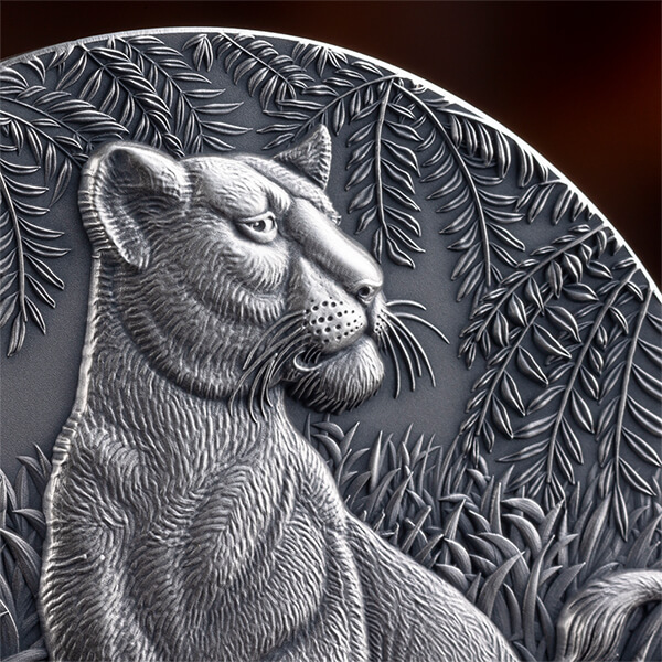 CL_The Grace of Lioness_fragm1_600x600 CL_The Grace of Lioness_fragm1_600x600