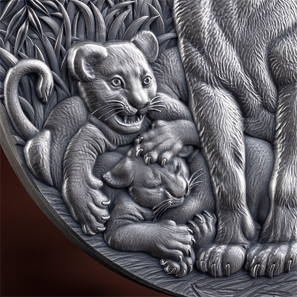 CL_The Grace of Lioness_fragm2_600x600 CL_The Grace of Lioness_fragm2_600x600