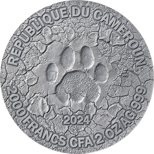 CL_The Grace of Lioness_obv_600x600 CL_The Grace of Lioness_obv_600x600