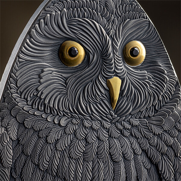MO_Short-Eared Owl_fragm1_600x600 MO_Short-Eared Owl_fragm1_600x600