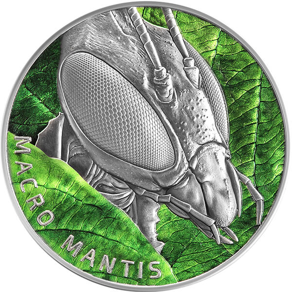 Macro Mantis