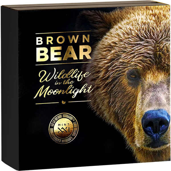 WM_Brown Bear_box2_600х600 WM_Brown Bear_box2_600х600