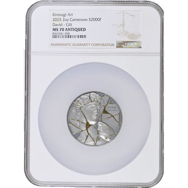 David MS 70 Antiqued NGC