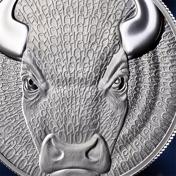 BW_Bull_fragm1_600х600 BW_Bull_fragm1_600х600
