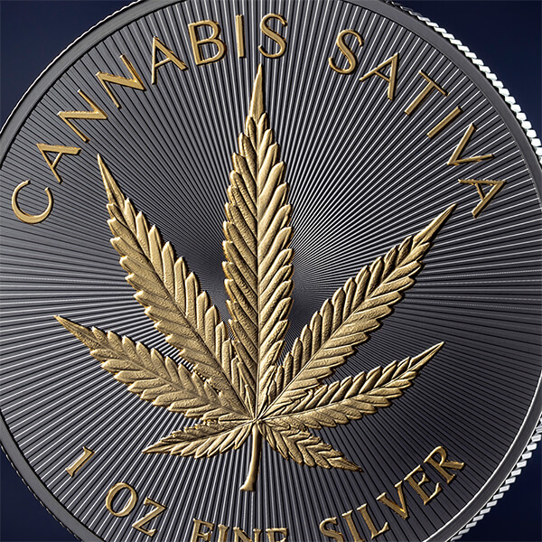 Hemp_fragm1_600x600 Hemp_fragm1_600x600