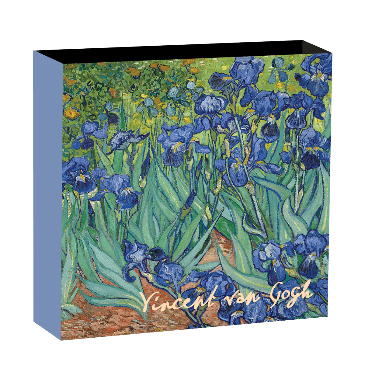 NU1624_Irises_3 NU1624_Irises_3